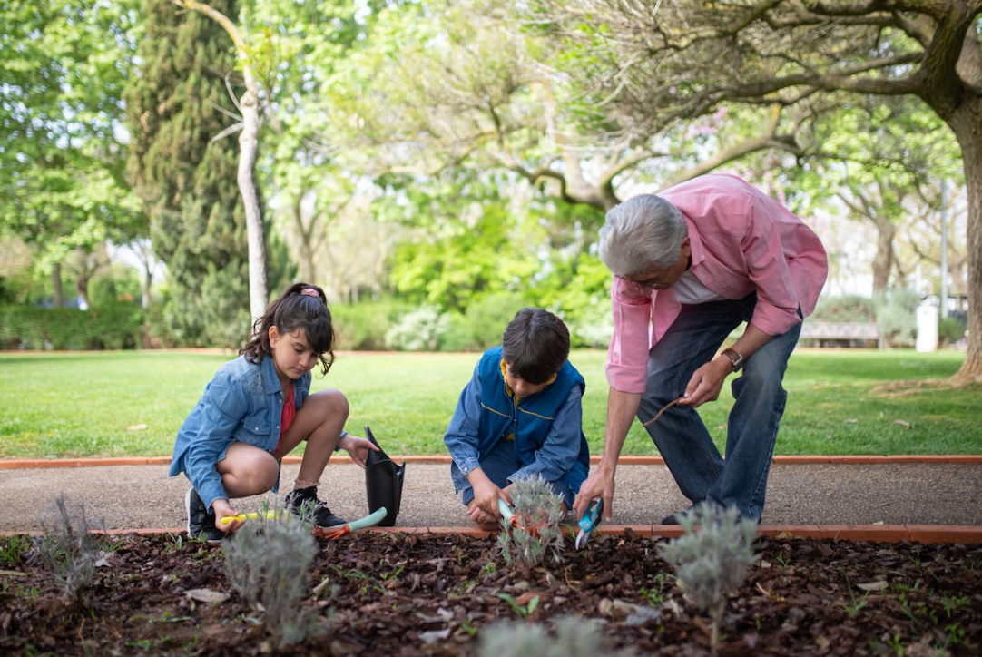 Quelles activités faire avec ses petits-enfants au printemps ?