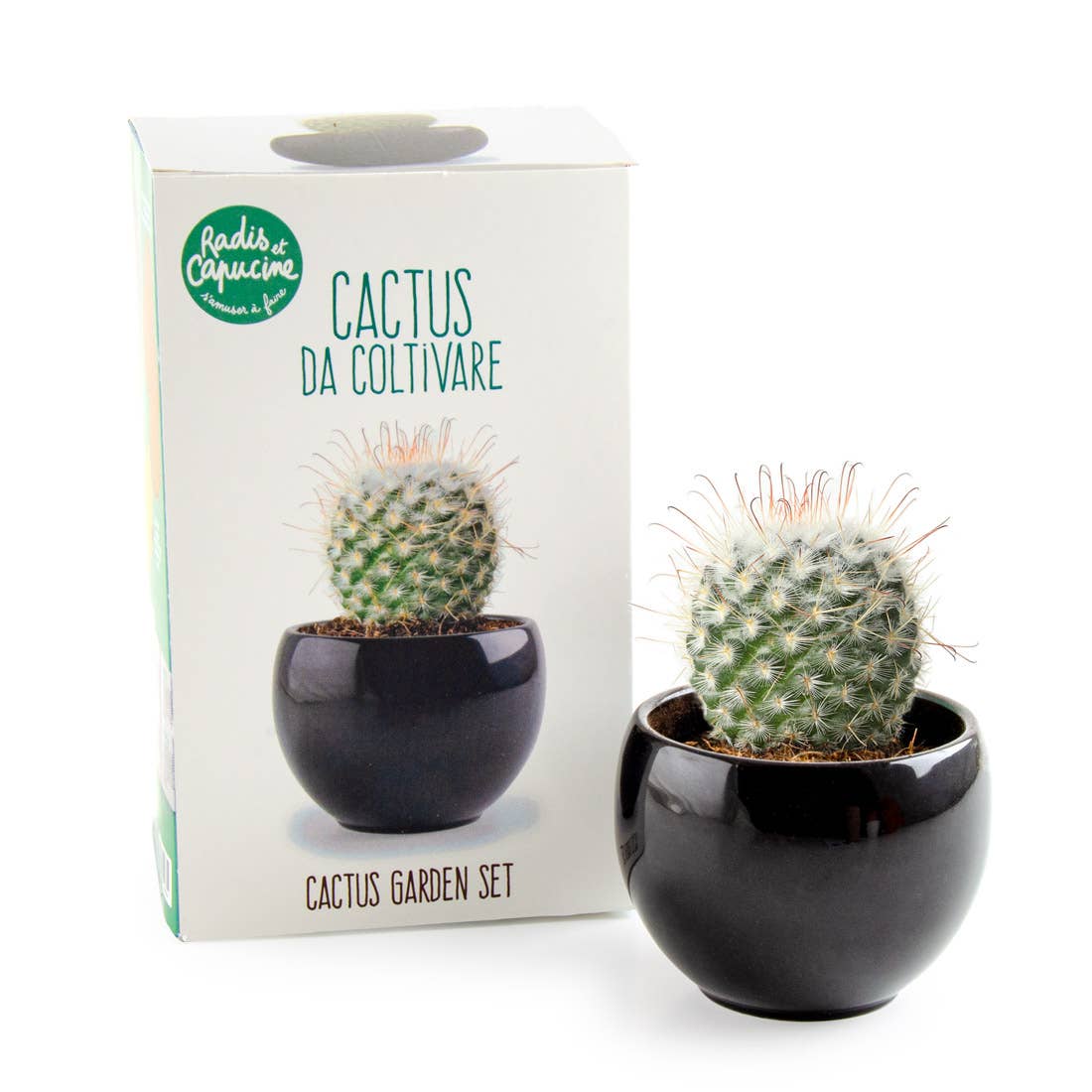 NOUVEAUTE - Kit Cactus à faire pousser - Kit créatif de jardinage Enfant Radis Et Capucine NOUVEAUTE - Kit Cactus à faire pousser - Kit créatif de jardinage Enfant myplayground