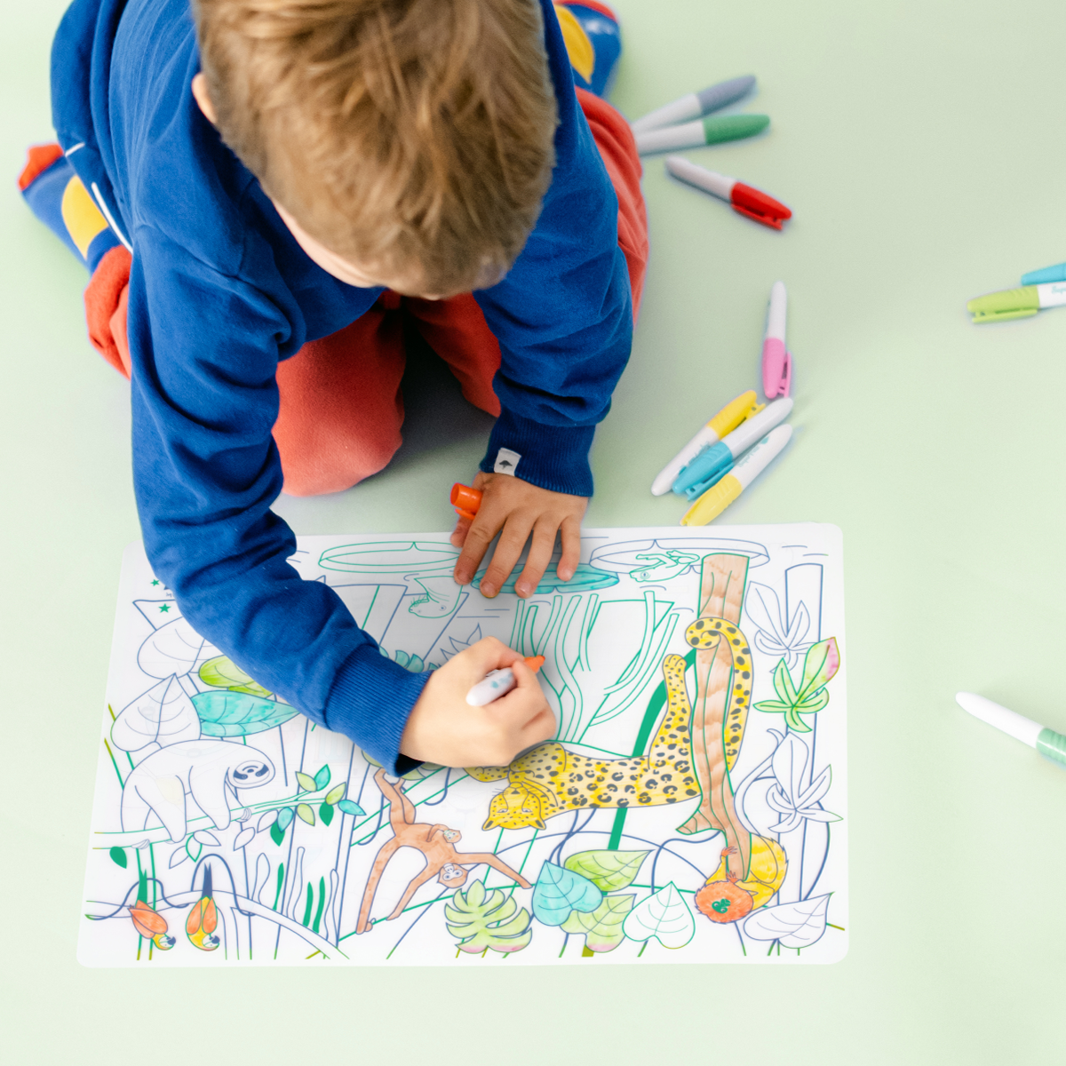 Set Amazonie + Set en Silicone avec Végétation et Animaux Colorés , 5 Feutres - Jeu Créatif SuperPetit Set Amazonie + Set en Silicone avec Végétation et Animaux Colorés , 5 Feutres - Jeu Créatif myplayground