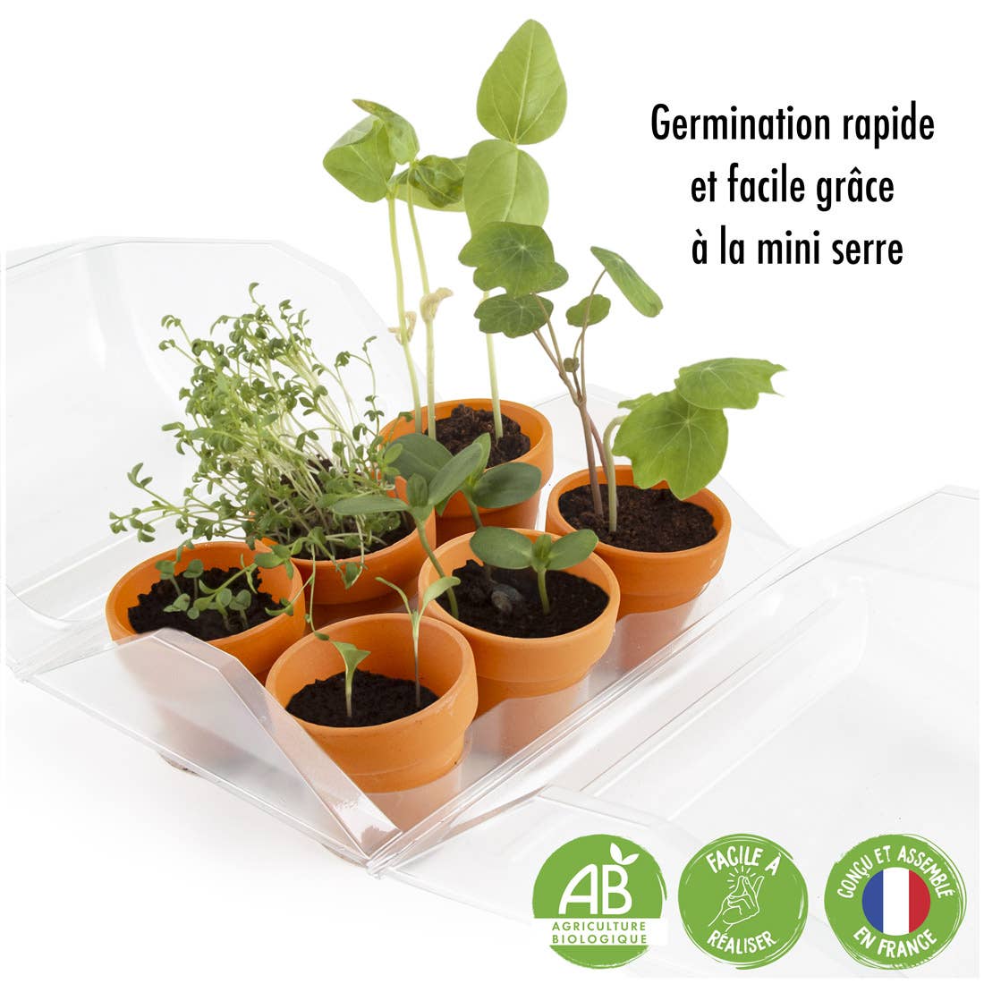 Serre plastique recyclé - Mon premier jardin - Kit créatif de jardinage Enfant Radis Et Capucine Serre plastique recyclé - Mon premier jardin - Kit créatif de jardinage Enfant myplayground