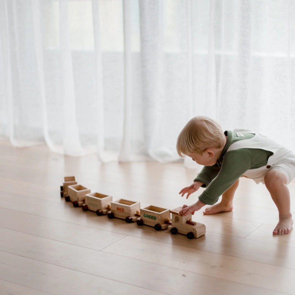 Train de tri QToys USA Train de tri myplayground