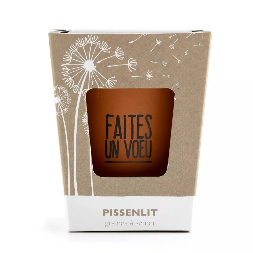 Kit message "Faites un voeu" - Pissenlit - Radis et Capucine jardinage Radis Et Capucine Kit message "Faites un voeu" - Pissenlit - Radis et Capucine myplayground
