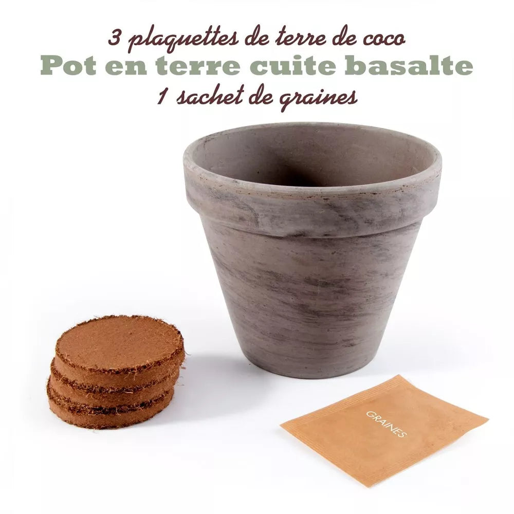Pot en terre cuite - Menthe verte - Radis et Capucine jardinage Radis Et Capucine Pot en terre cuite - Menthe verte - Radis et Capucine myplayground