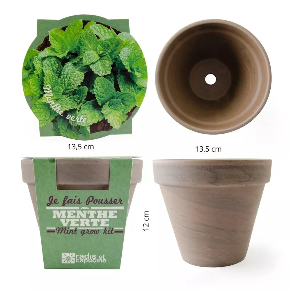 Pot en terre cuite - Menthe verte - Radis et Capucine jardinage Radis Et Capucine Pot en terre cuite - Menthe verte - Radis et Capucine myplayground