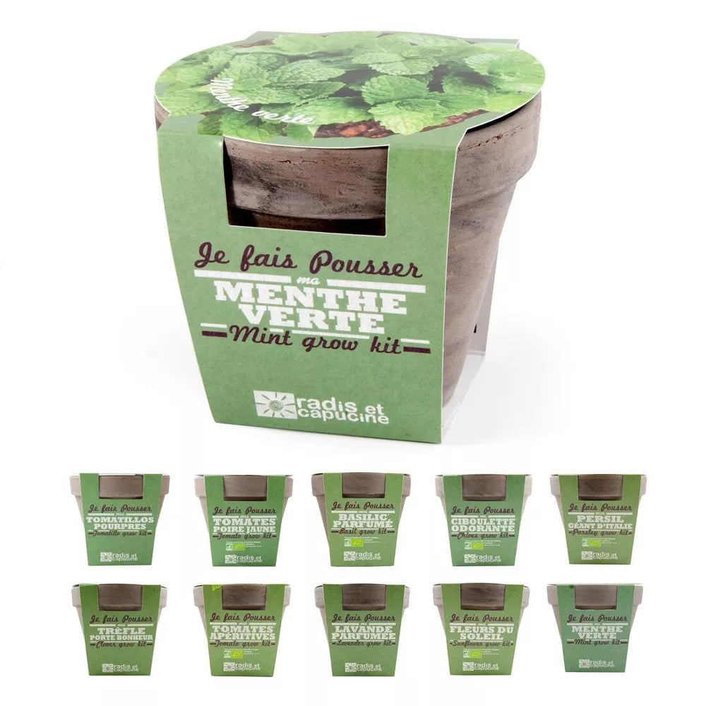Pot en terre cuite - Menthe verte - Radis et Capucine jardinage Radis Et Capucine Pot en terre cuite - Menthe verte - Radis et Capucine myplayground