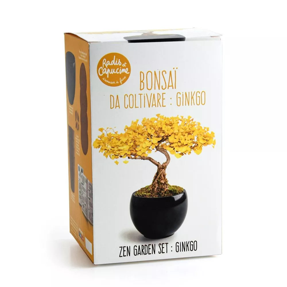 Kit Bonsaï Ginkgo - Radis et Capucine jardinage Radis Et Capucine Kit Bonsaï Ginkgo - Radis et Capucine myplayground