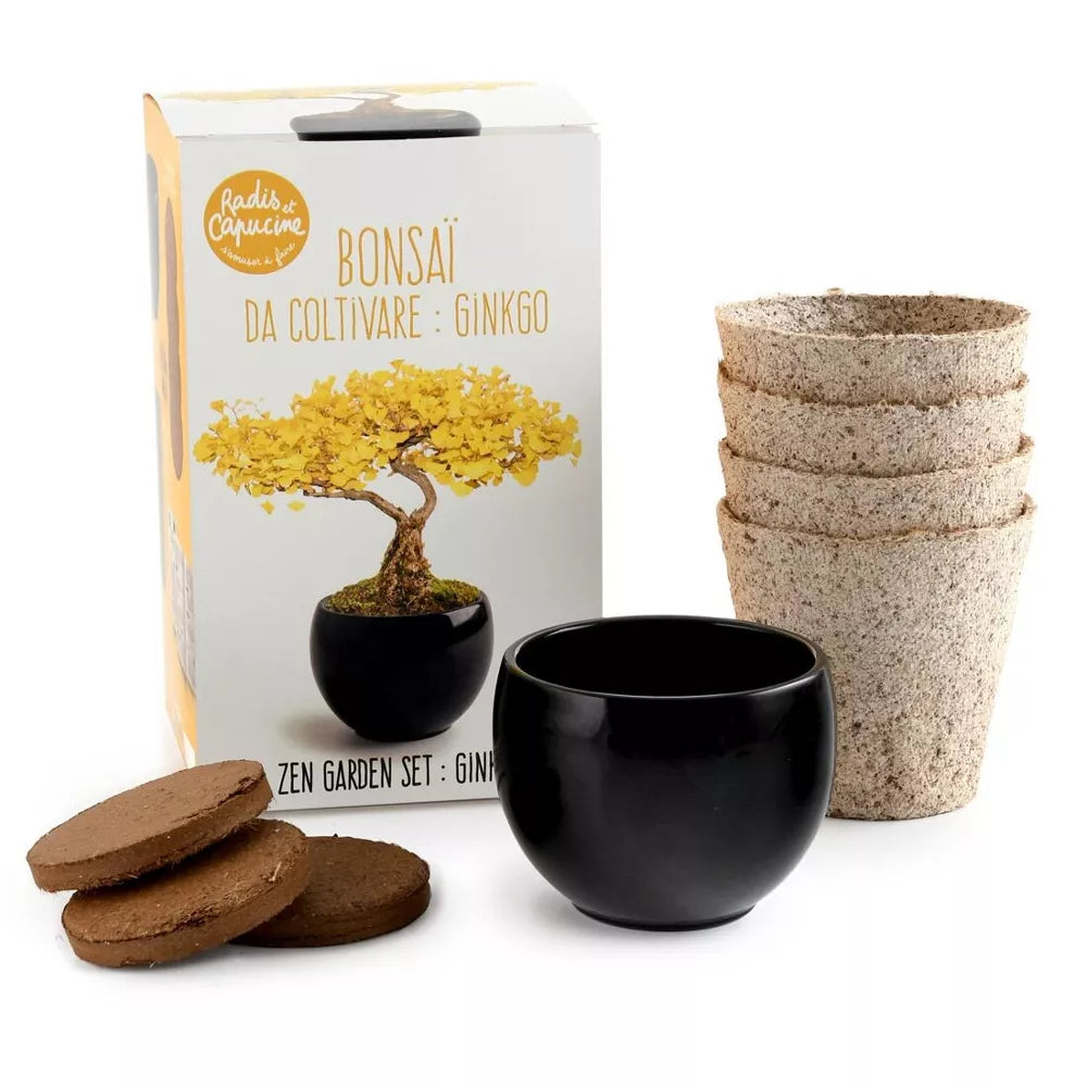 Kit Bonsaï Ginkgo - Radis et Capucine jardinage Radis Et Capucine Kit Bonsaï Ginkgo - Radis et Capucine myplayground