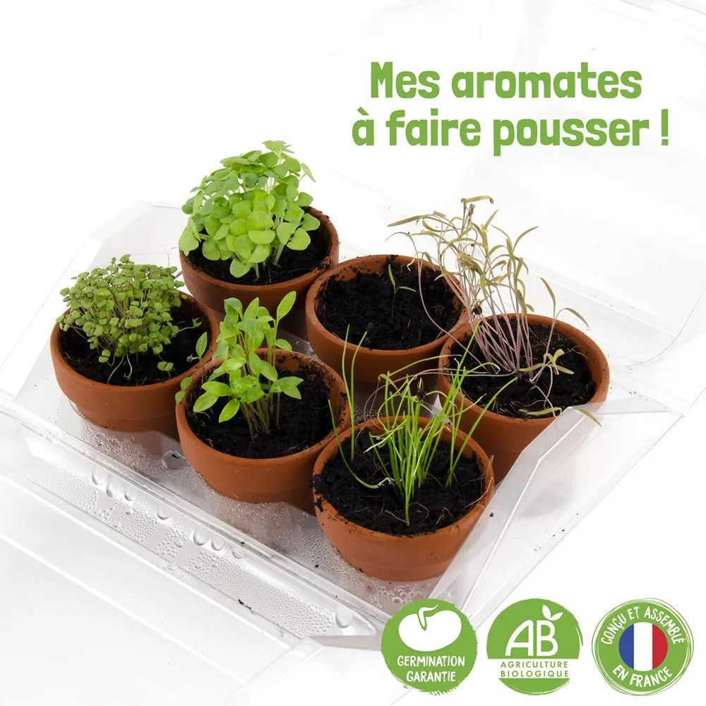Mini serre de jardinage aromatiques à semer - Radis et Capucine jardinage Radis Et Capucine Mini serre de jardinage aromatiques à semer - Radis et Capucine myplayground