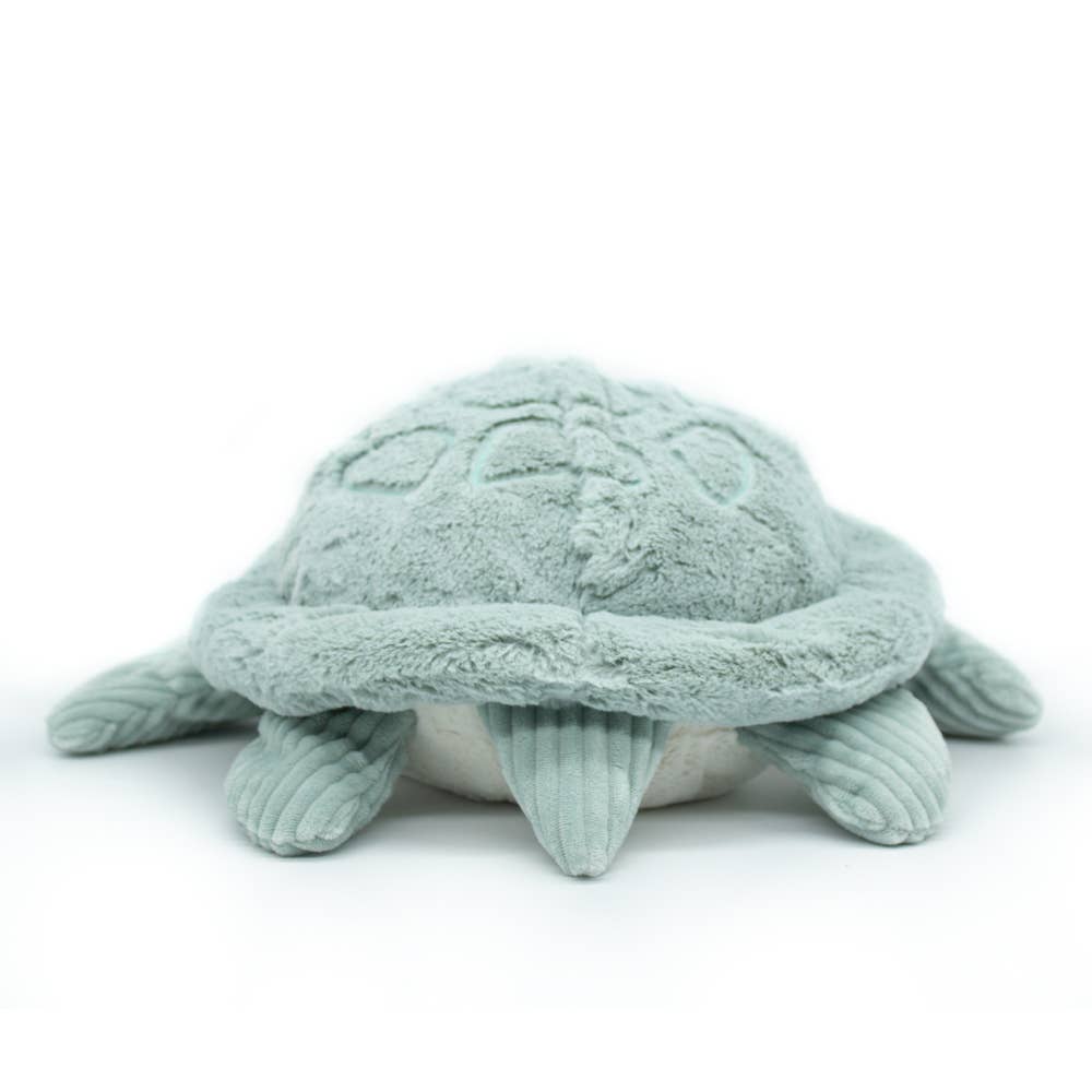 Tortue Géante Menthe / Les Ptipotos - Les Déglingos, France Les Déglingos, France Tortue Géante Menthe / Les Ptipotos - Les Déglingos, France myplayground