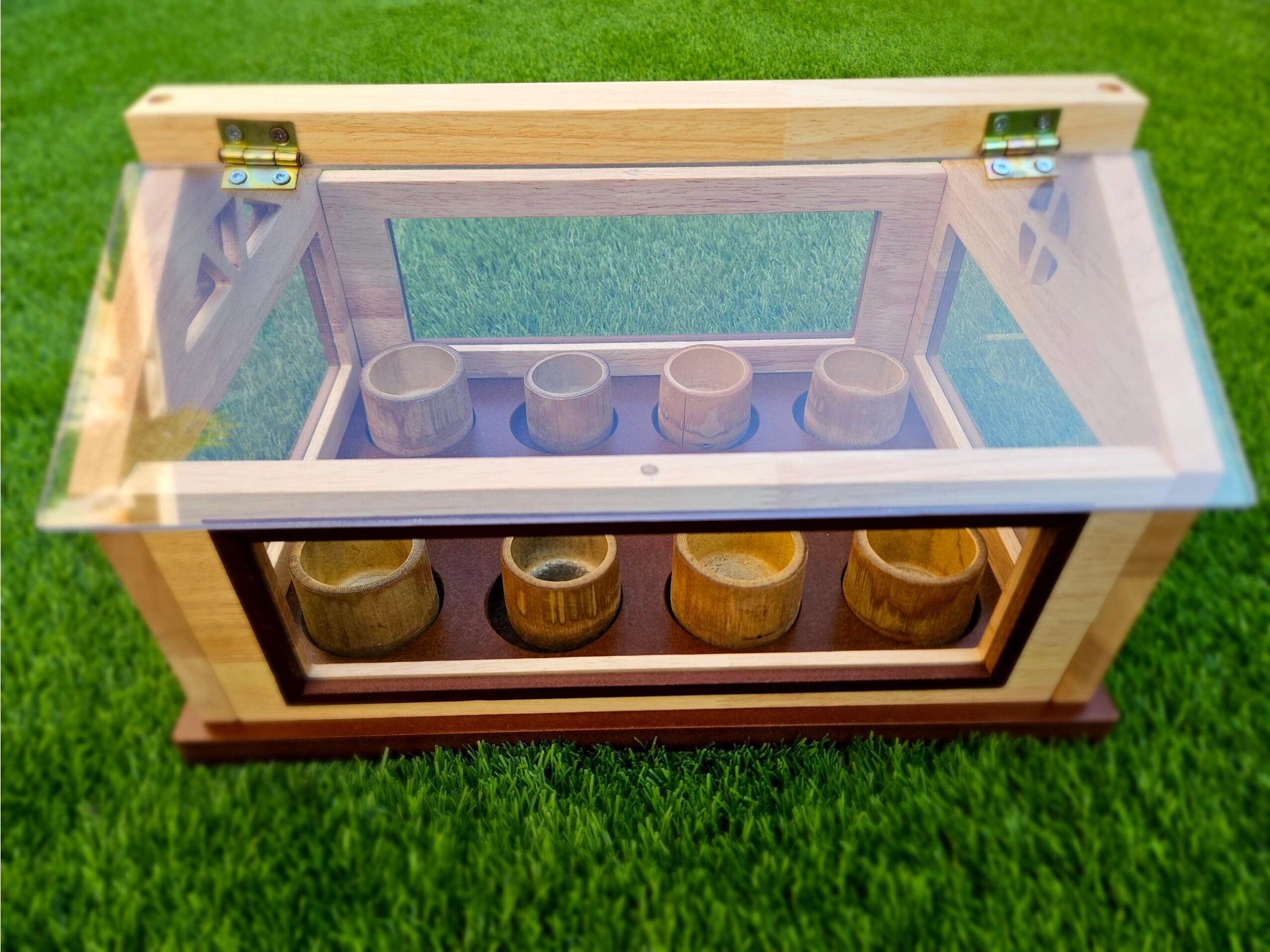 Serre pour planter plus d'arbres QToys USA Serre pour planter plus d'arbres myplayground