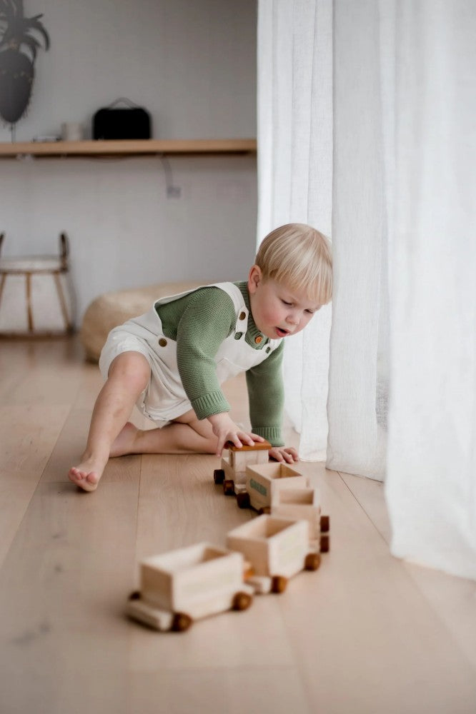 Train de tri QToys USA Train de tri myplayground
