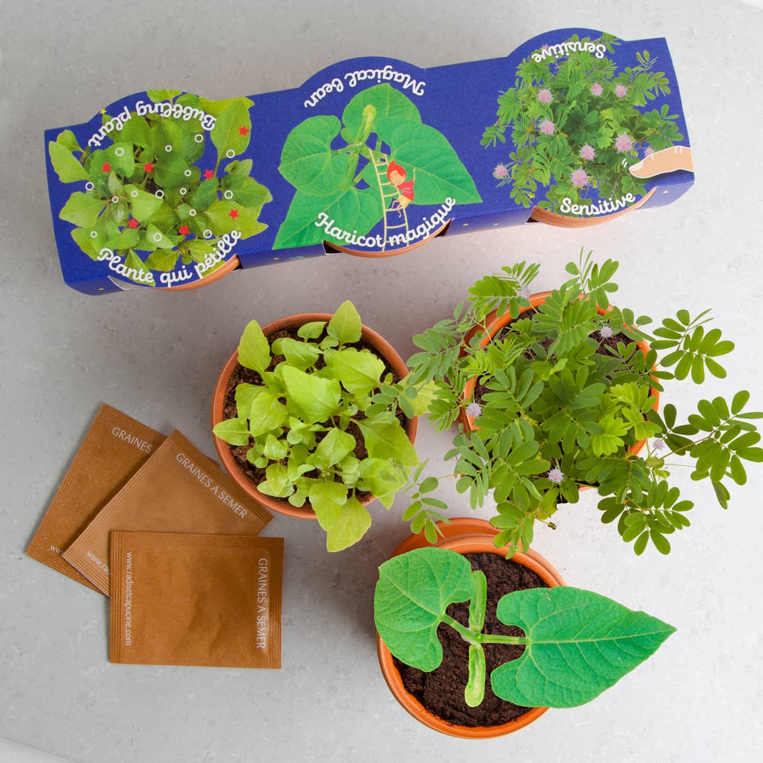 Trio 3 pots plantes magiques - Kit créatif de jardinage Enfant Radis Et Capucine Trio 3 pots plantes magiques - Kit créatif de jardinage Enfant myplayground