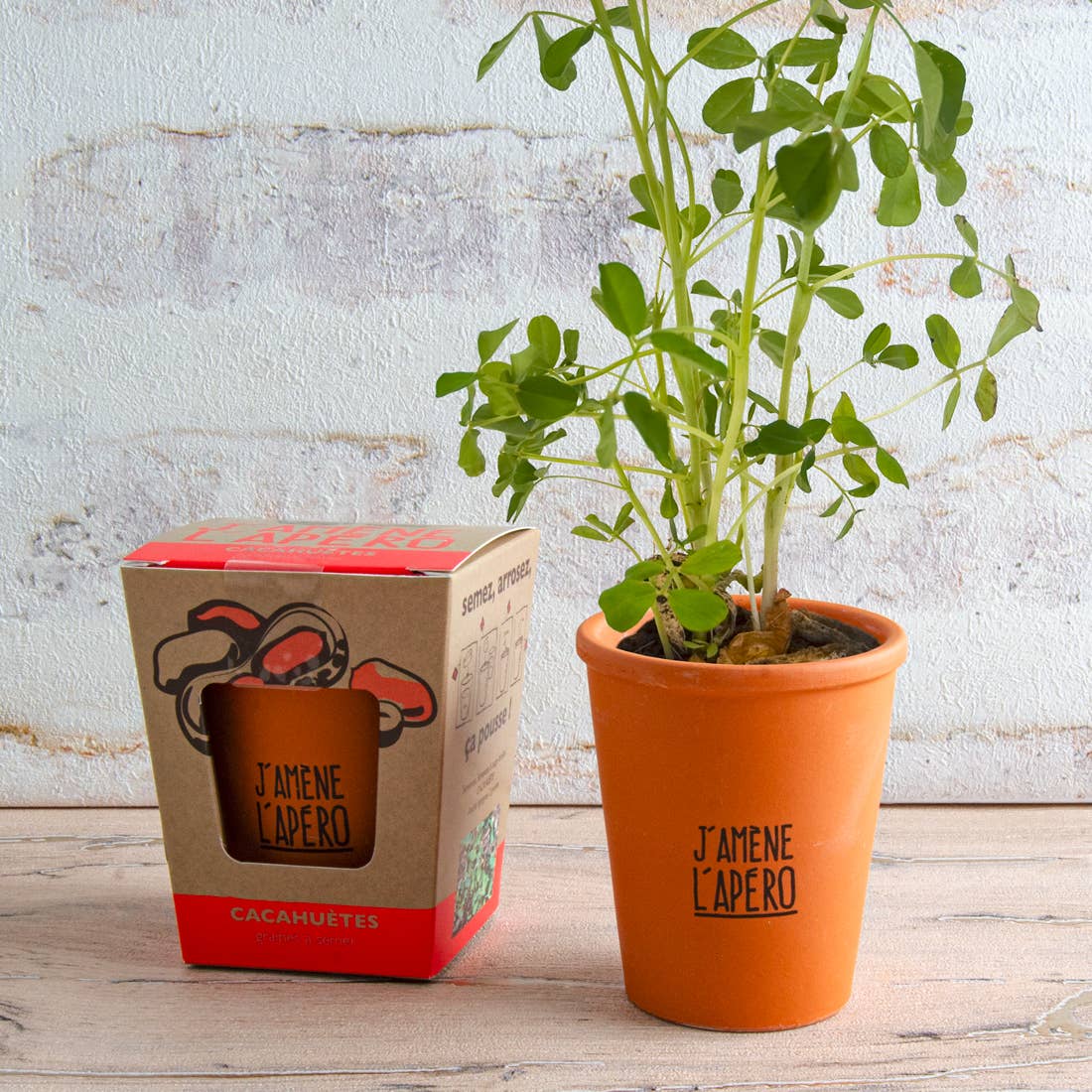 Kit message J'amène L'apéro - Cacahuètes - Kit créatif de jardinage Radis Et Capucine Kit message J'amène L'apéro - Cacahuètes - Kit créatif de jardinage myplayground