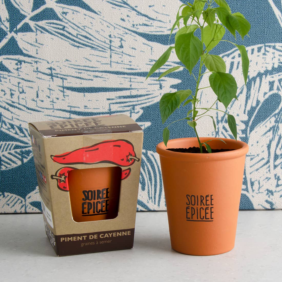 Kit message Soirée Epicée - Piment de Cayenne - Kit créatif de jardinage Radis Et Capucine Kit message Soirée Epicée - Piment de Cayenne - Kit créatif de jardinage myplayground