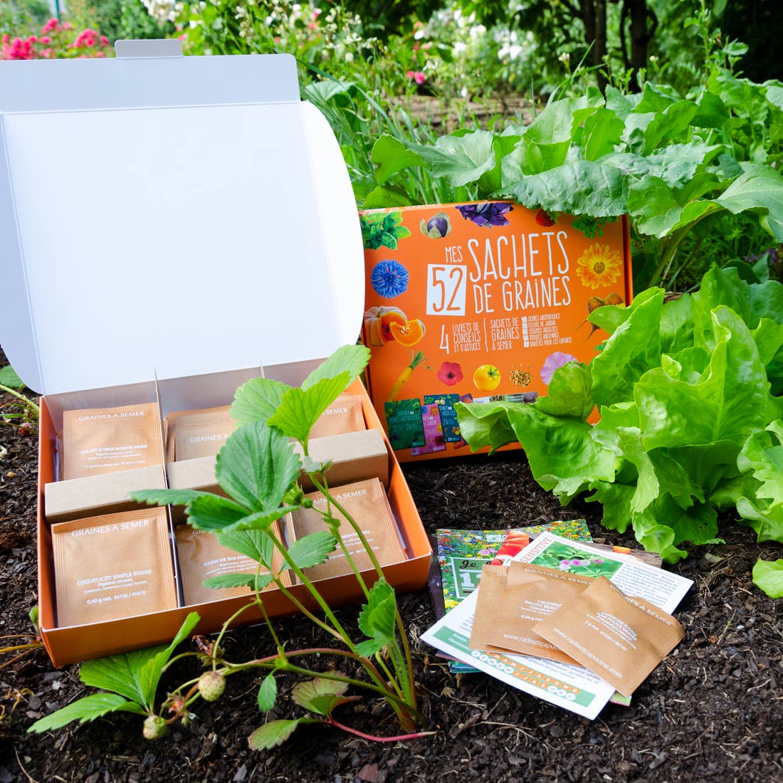 Coffret 52 sachets de graines - Kit créatif de jardinage Enfant Radis Et Capucine myplayground