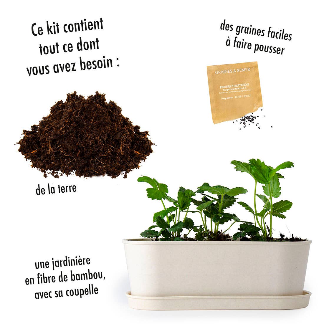 Jardinière Bambou - Fraisier - Kit créatif de jardinage Enfant Radis Et Capucine Jardinière Bambou - Fraisier - Kit créatif de jardinage Enfant myplayground