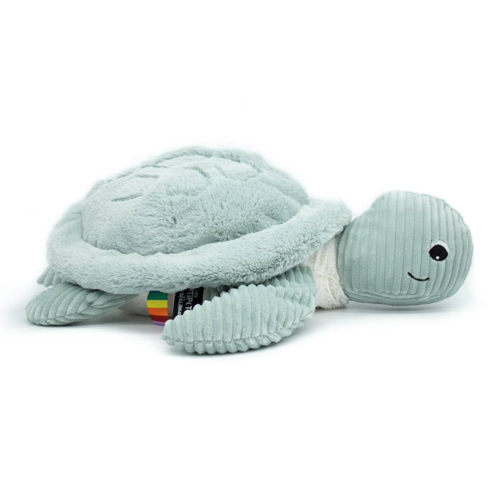 Tortue Géante Menthe / Les Ptipotos - Les Déglingos, France Les Déglingos, France Tortue Géante Menthe / Les Ptipotos - Les Déglingos, France myplayground