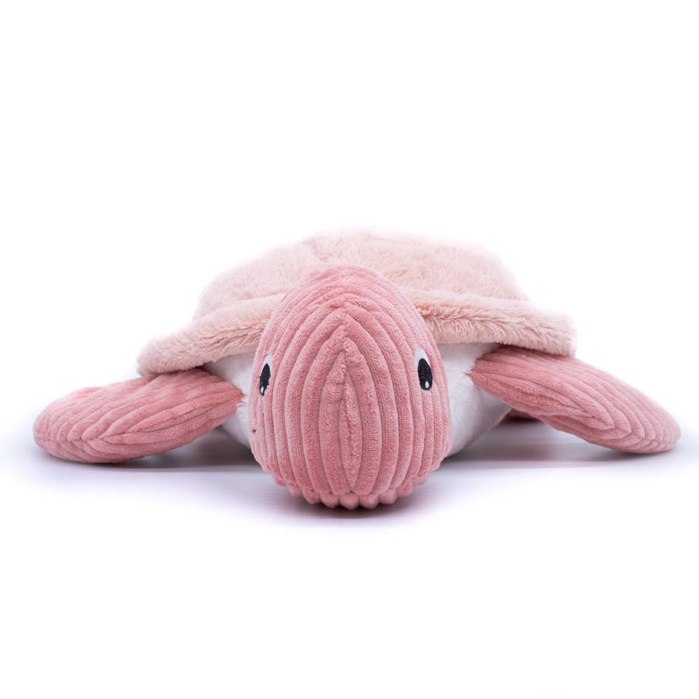 Tortue Géante Rose / Les Ptipotos - Les Déglingos, France Les Déglingos, France Tortue Géante Rose / Les Ptipotos - Les Déglingos, France myplayground