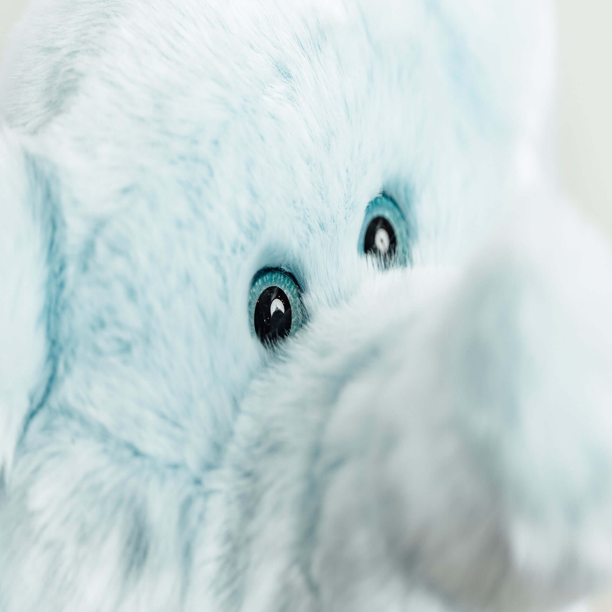 Ma peluche Éléphant Victor - La Pelucherie La Pelucherie Ma peluche Éléphant Victor - La Pelucherie myplayground