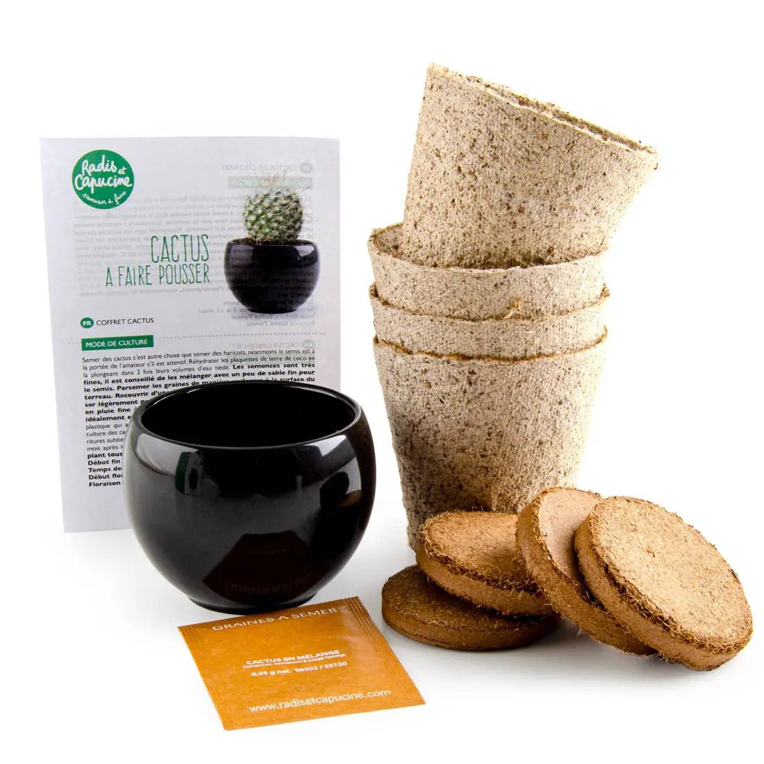 NOUVEAUTE - Kit Cactus à faire pousser - Kit créatif de jardinage Enfant by Radis Et Capucine
