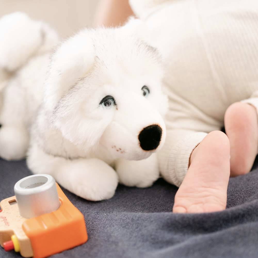 Ma peluche Husky Léonard - La Pelucherie - myplayground