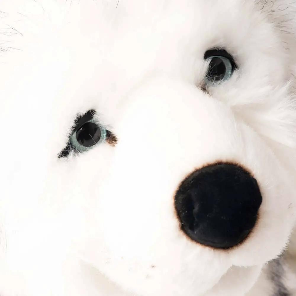 Ma peluche Husky Léonard - La Pelucherie by LA PELUCHERIE