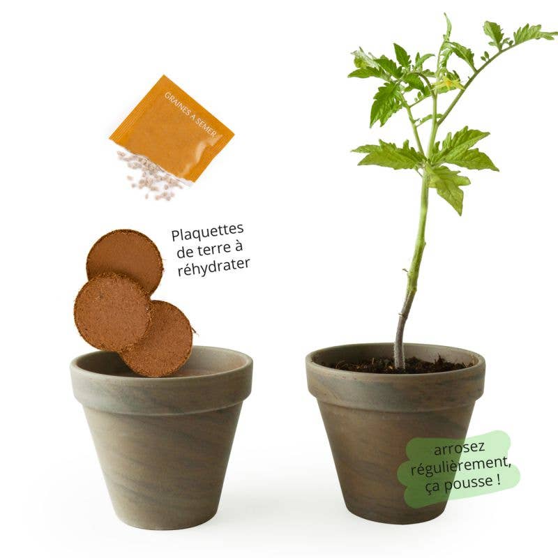 Pot Terre cuite Basalte - Tomate cerise bio - Kit créatif de jardinage Enfant - myplayground