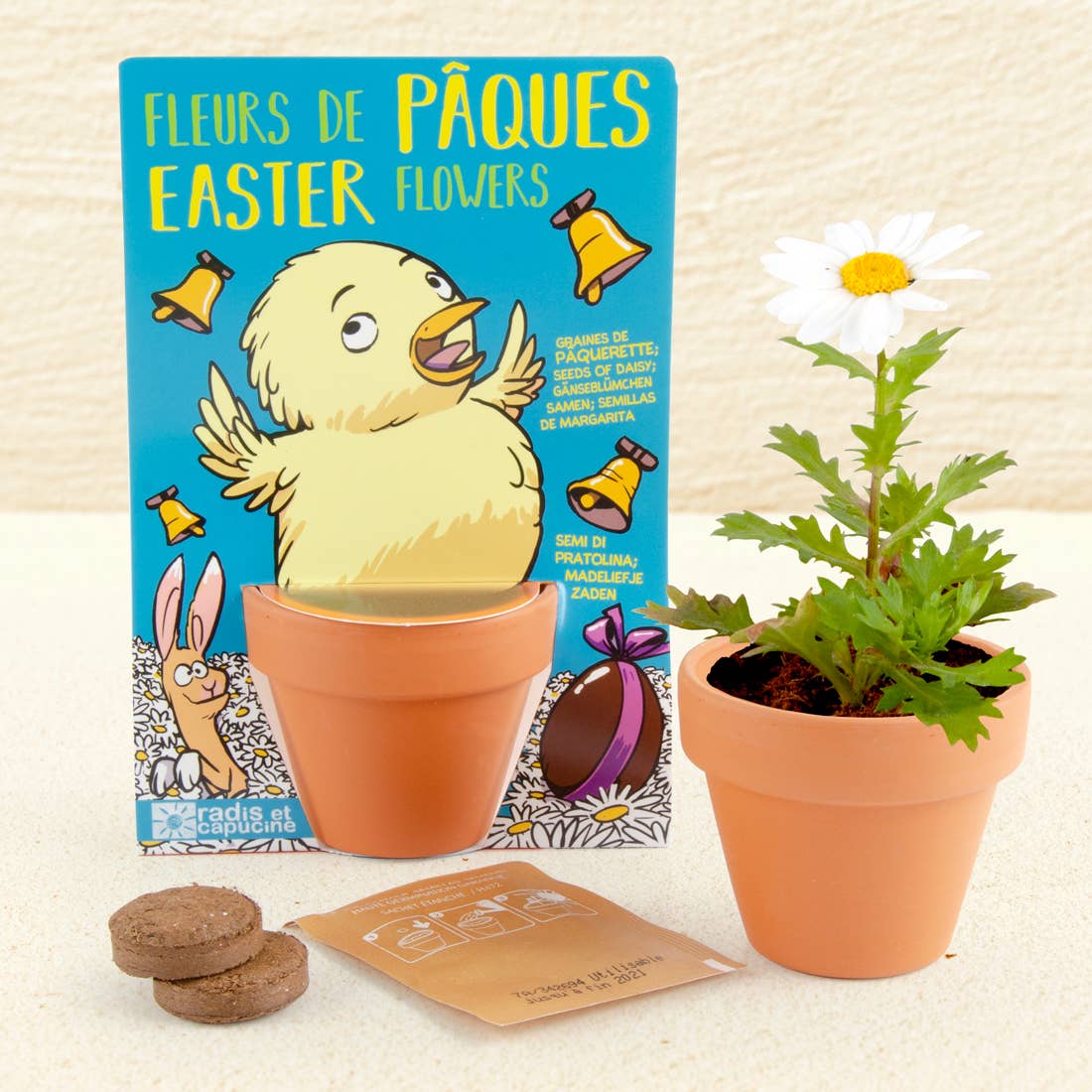 Carte nature Poussin - Pâquerettes à semer - Kit créatif de jardinage Enfant by Radis Et Capucine