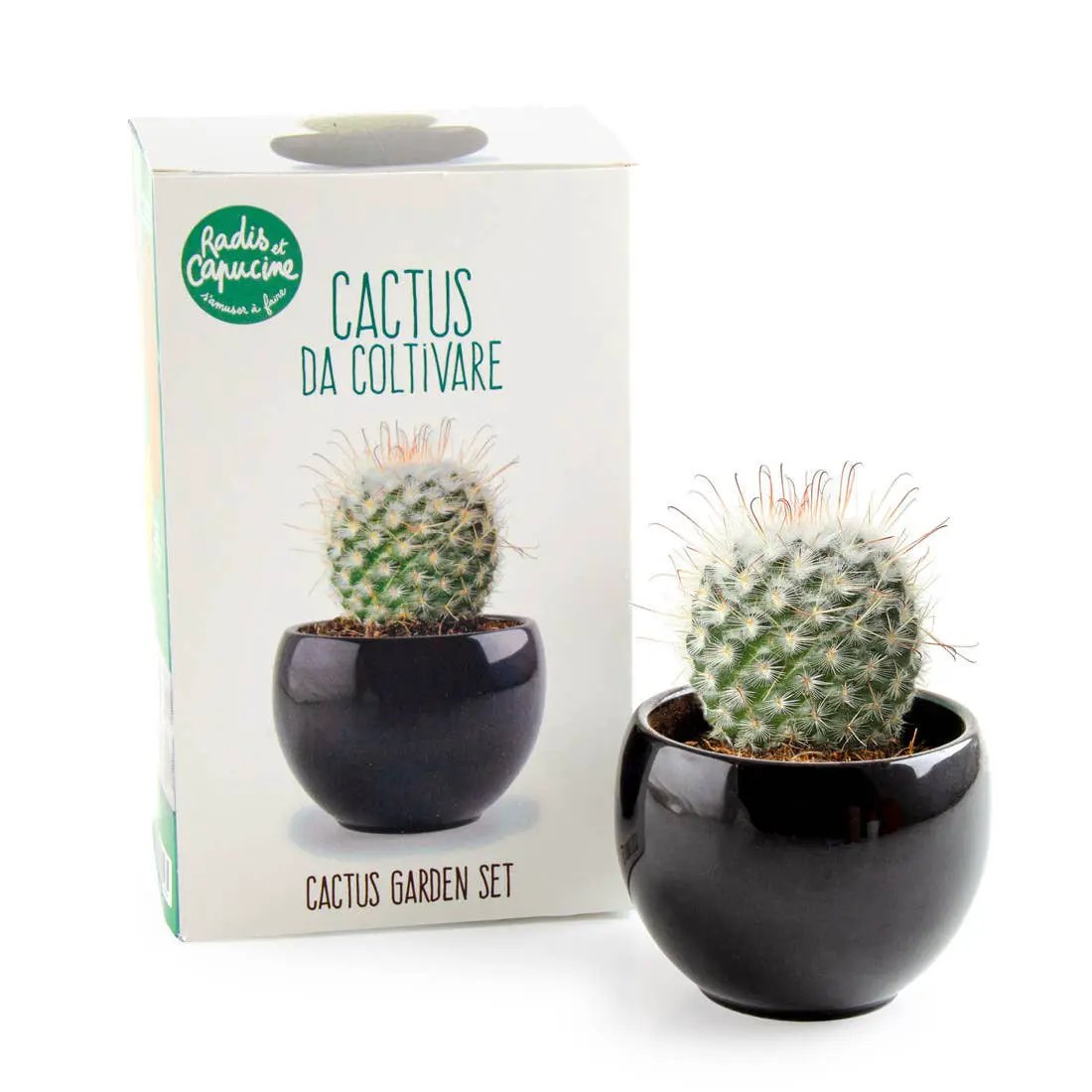 NOUVEAUTE - Kit Cactus à faire pousser - Kit créatif de jardinage Enfant by Radis Et Capucine