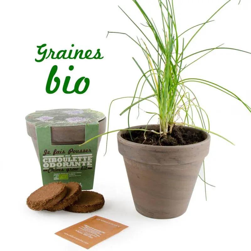Pot Terre cuite Basalte - Ciboulette bio - Kit créatif de jardinage Enfant by Radis Et Capucine