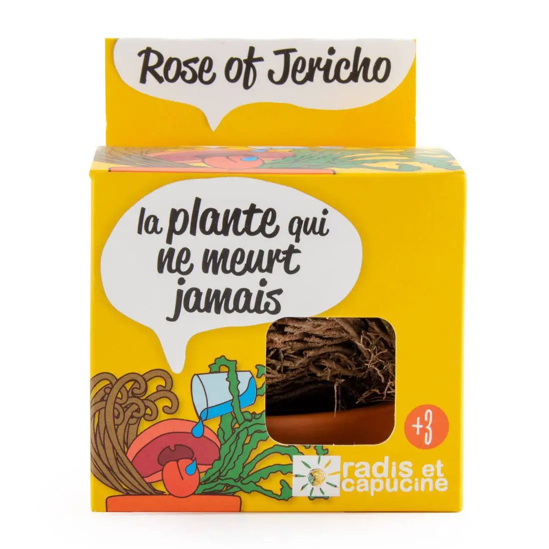 La plante éternelle - Kit créatif de jardinage Enfant by Radis Et Capucine