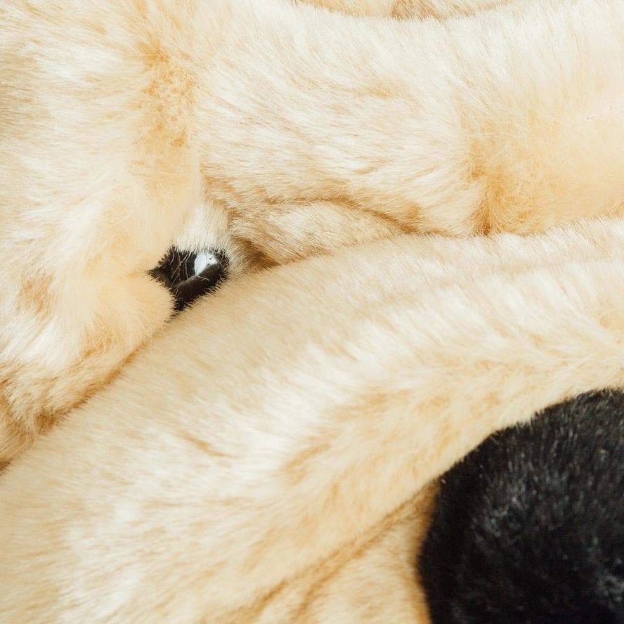 Ma peluche Chien Hector - La Pelucherie - myplayground