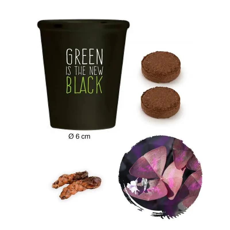 Gamme black - Trèfle pourpre - Kit créatif de jardinage Enfant by Radis Et Capucine