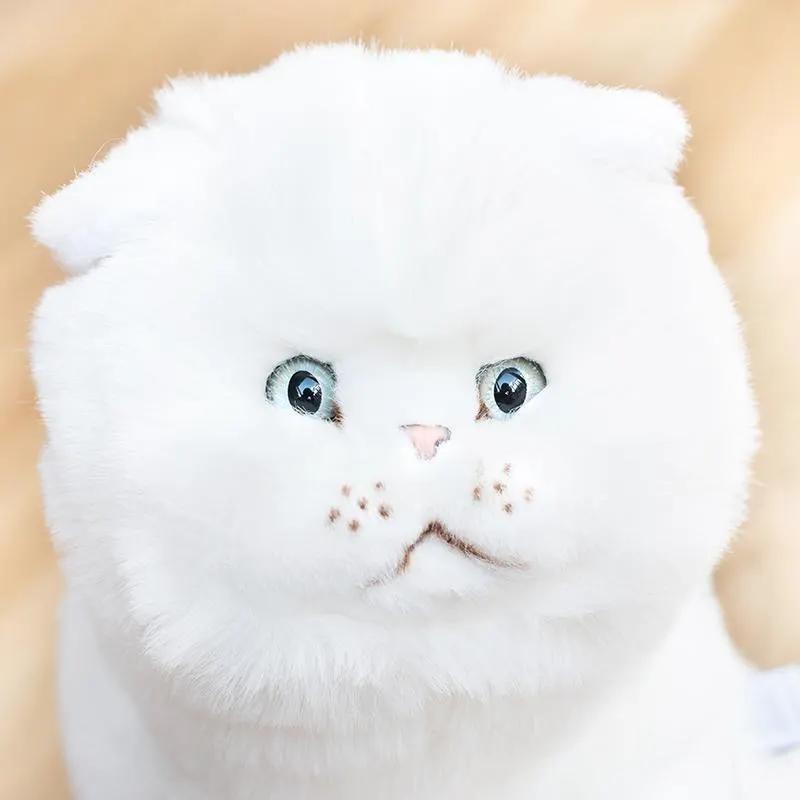 Ma Peluche Chat Oscar - La Pelucherie by La Pelucherie