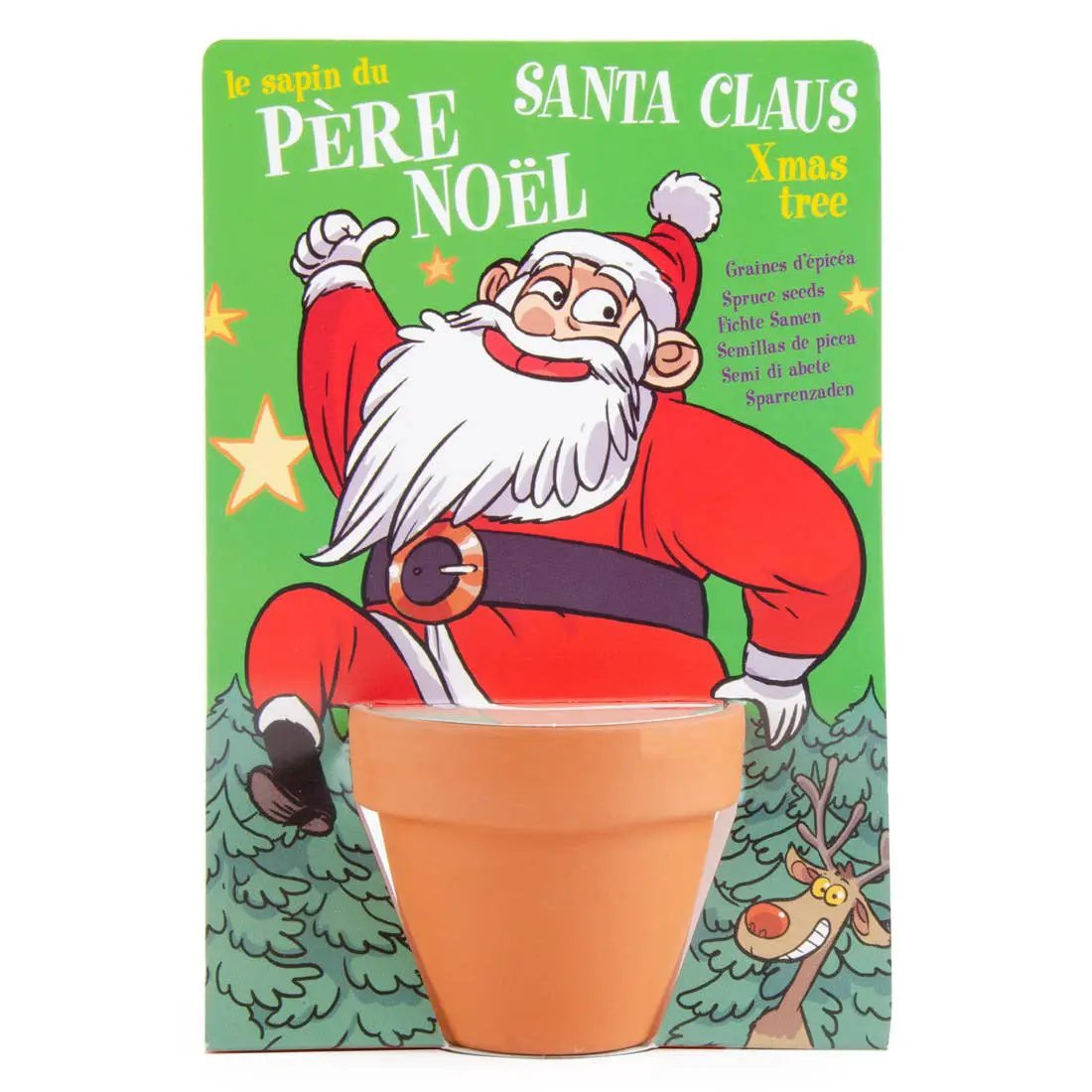 Carte nature Père Noël - Pin - Kit créatif de jardinage Enfant by Radis Et Capucine