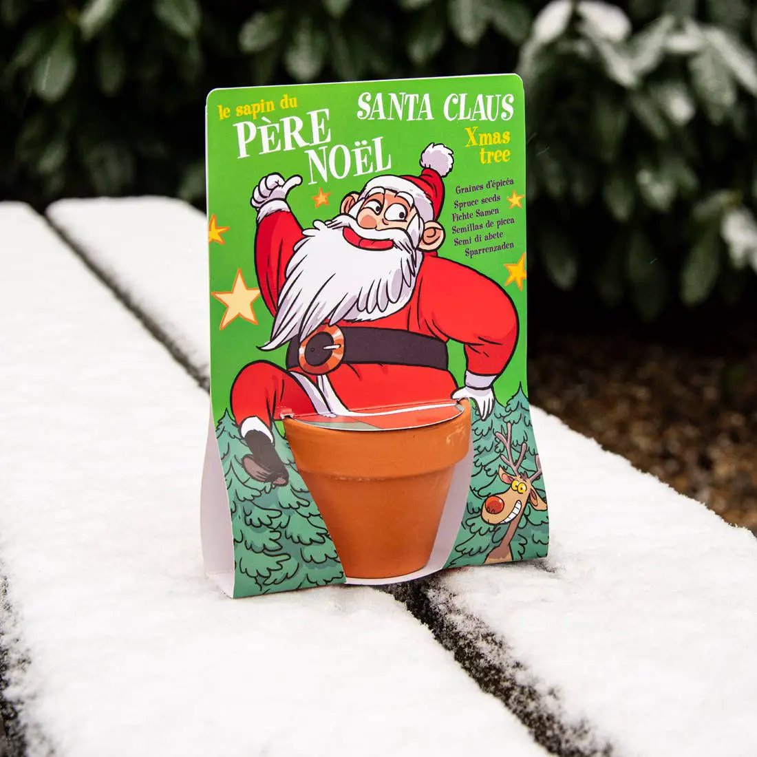 Carte nature Père Noël - Pin - Kit créatif de jardinage Enfant by Radis Et Capucine