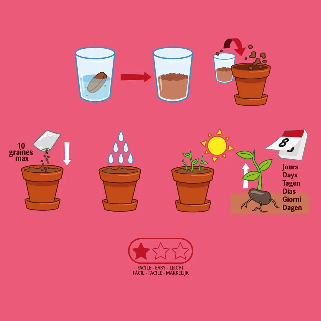 Plantes gourmandes - Radis bio - Kit créatif de jardinage Enfant by Radis Et Capucine