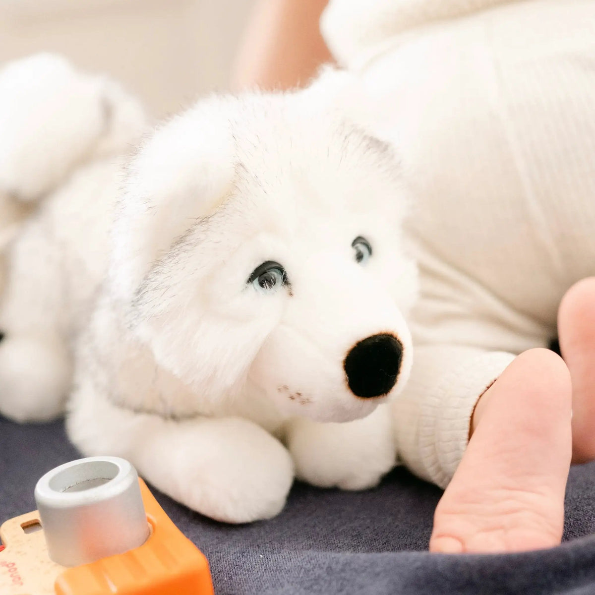 Ma peluche Husky Léonard - La Pelucherie by LA PELUCHERIE