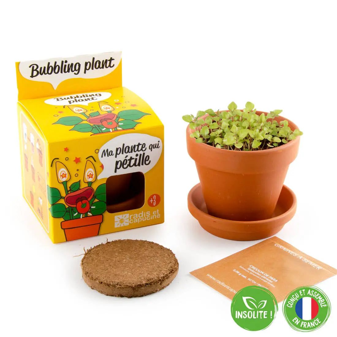 La plante qui pétille - Kit créatif de jardinage Enfant by Radis Et Capucine