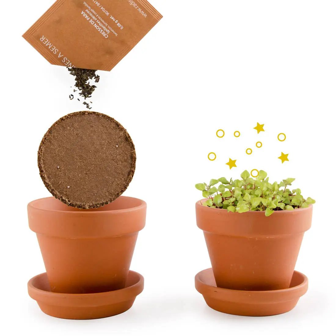 La plante qui pétille - Kit créatif de jardinage Enfant by Radis Et Capucine