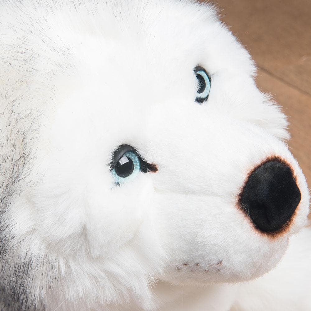Ma peluche Husky Léonard - La Pelucherie by LA PELUCHERIE