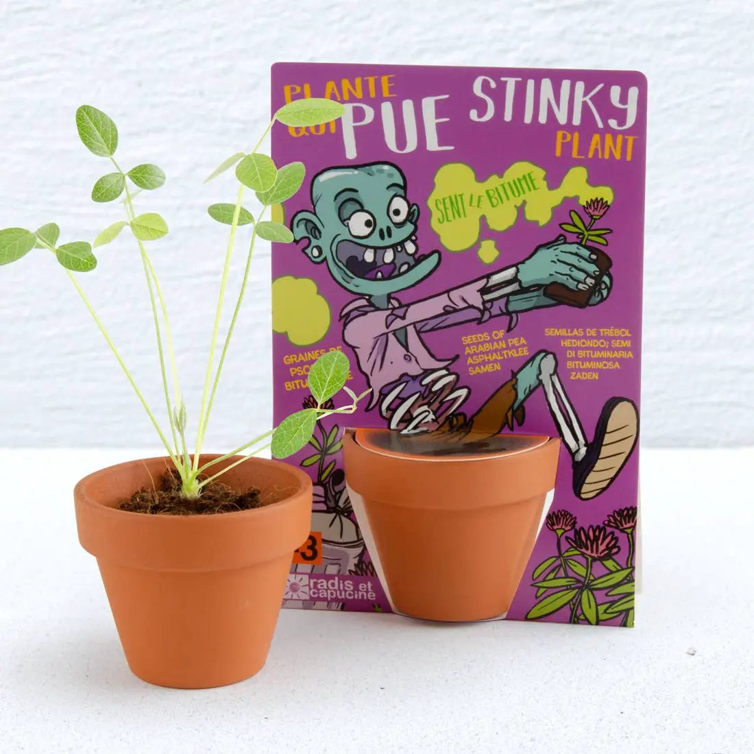 Carte nature Zombie - Plante qui pue - Kit créatif de jardinage Enfant by Radis Et Capucine