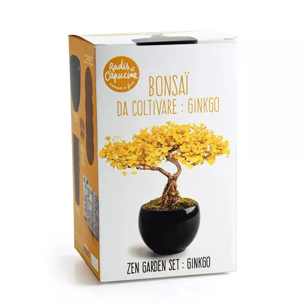 Kit Bonsaï Ginkgo - Radis et Capucine by Radis Et Capucine