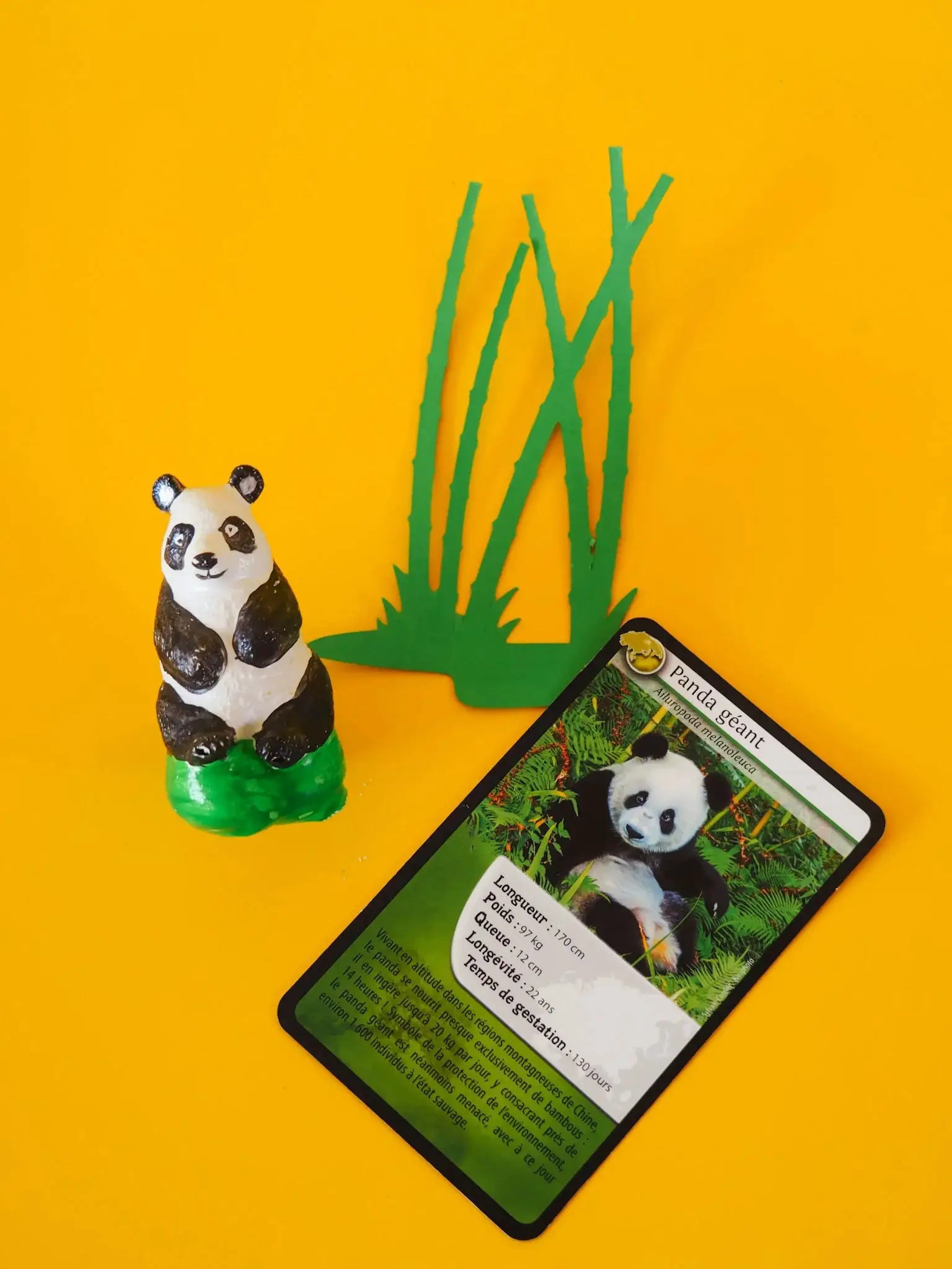 Mako Moulages - Panda Géant - Mako Créations by Mako Créations