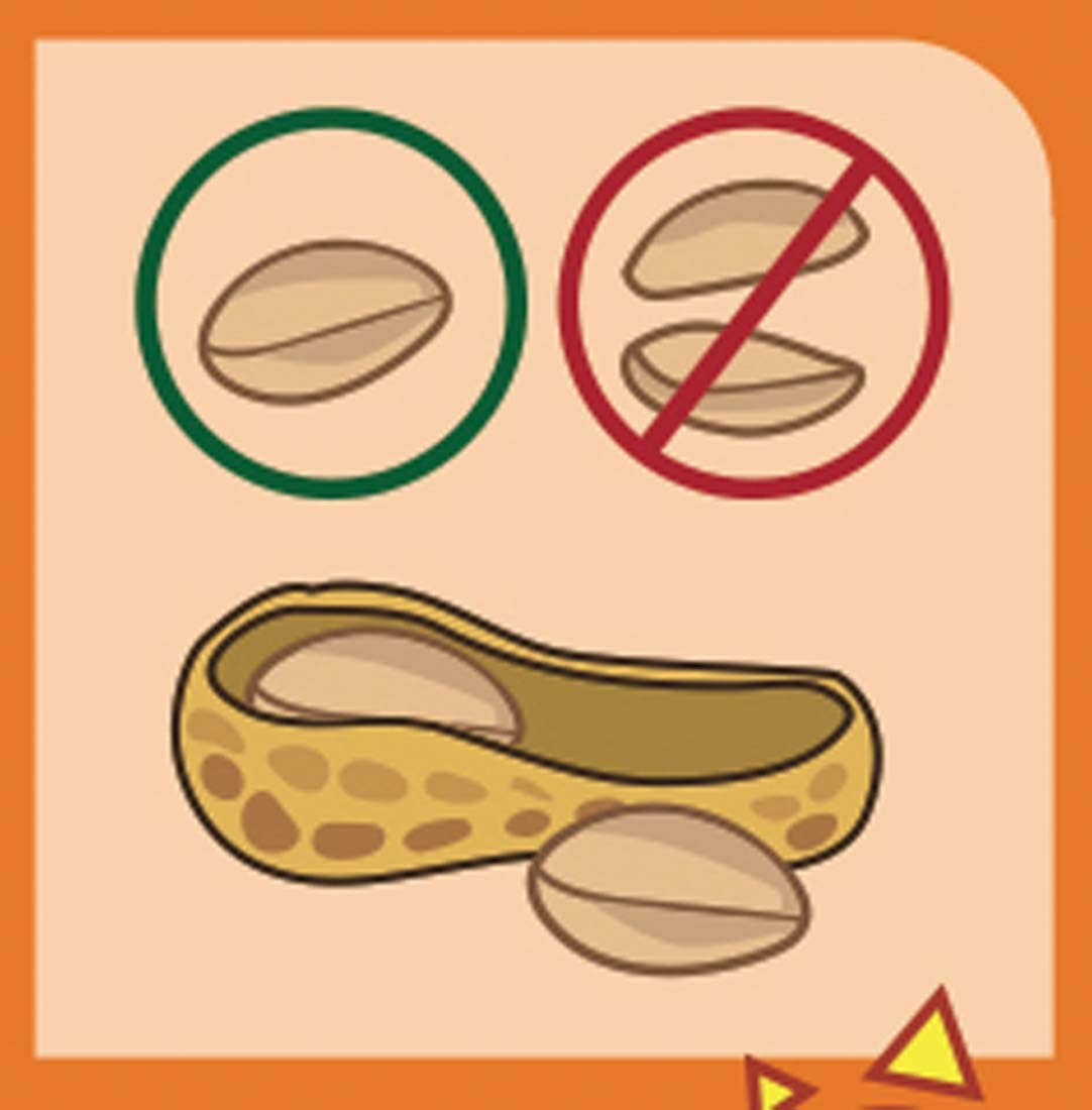 Plantes gourmandes - Cacahuète - Kit créatif de jardinage Enfant - myplayground