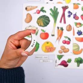 Jeu magnétique - fruits et légumes by Ferflex