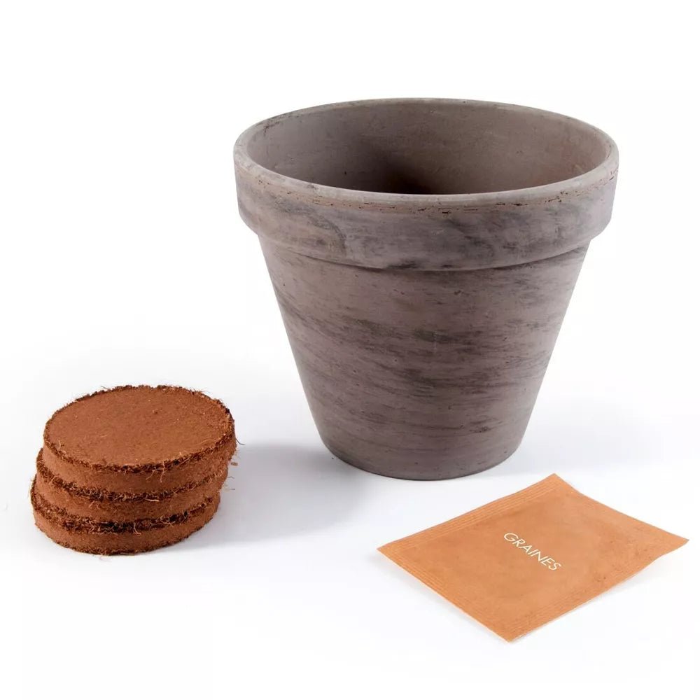 Pot Terre cuite Basalte 13cm - Tomate poire jaune Bio - Radis et Capucine - myplayground