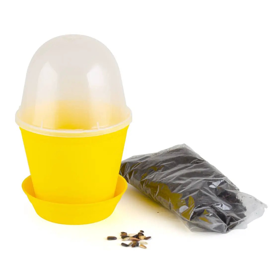 Pot Cloche - Tournesol bio - Kit créatif de jardinage Enfant by Radis Et Capucine