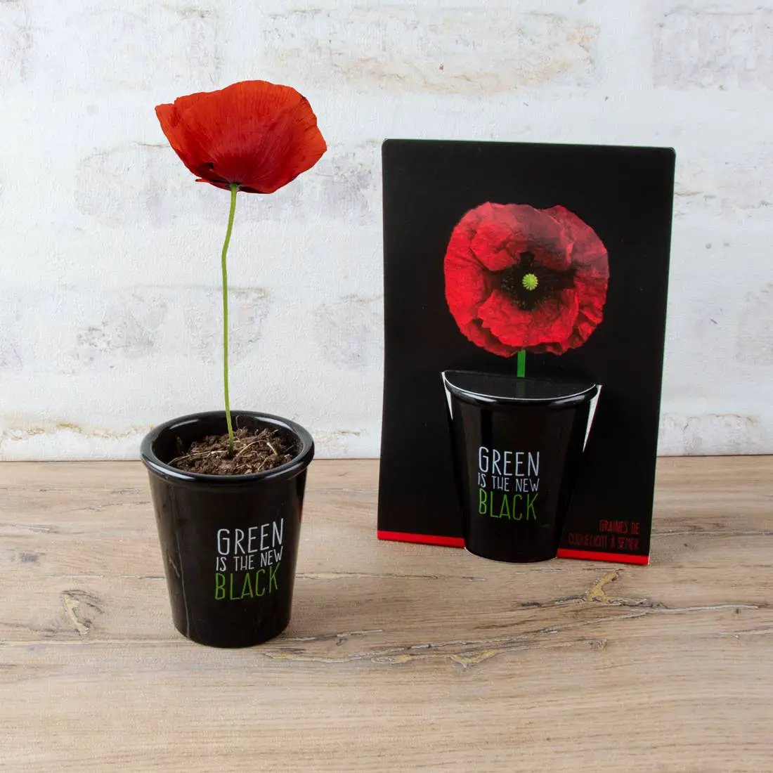 Gamme black - Coquelicot - Kit créatif de jardinage Enfant by Radis Et Capucine