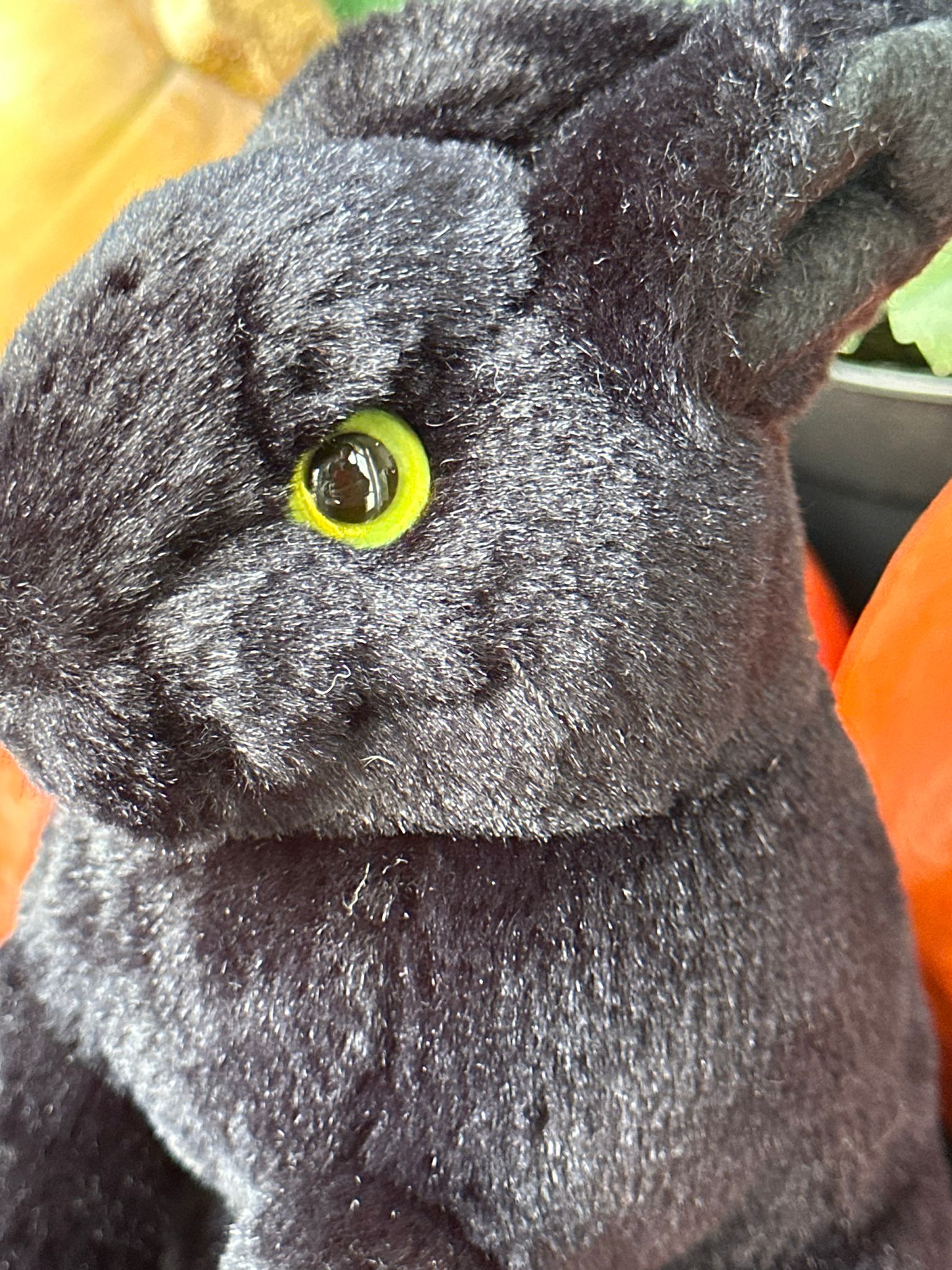 Mon lapin d'Halloween (20 cm) - La Pelucherie - myplayground